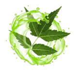 body-care-banner3 body-care-banner3